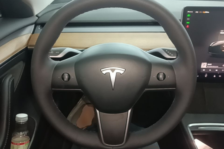 Tesla Model 3 2022 immagine di auto #19