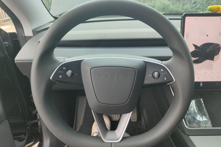 Tesla Model Y 2025 #15 Tesla Model Y 2025 car image #15