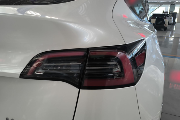 Tesla Model Y 2023 #8 Tesla Model Y 2023 car image #8
