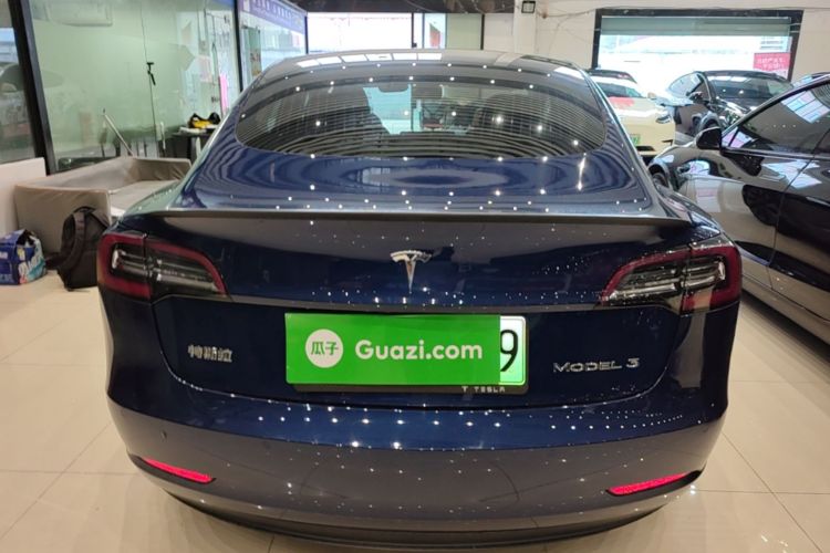 Tesla Model 3 2020 car image #4