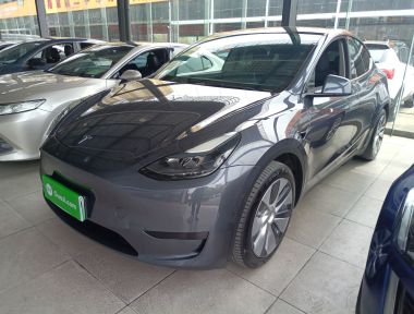 Tesla Model Y 2022 Tesla Model Y 2022 car image