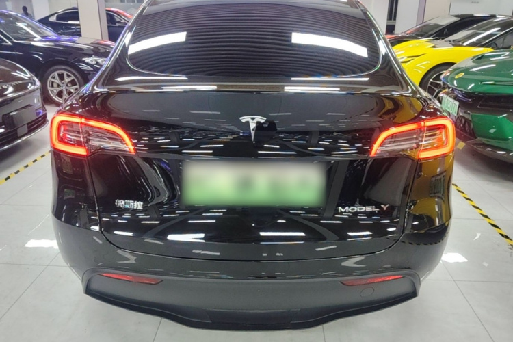 Tesla Model Y 2023 #6 Tesla Model Y 2023 car image #6