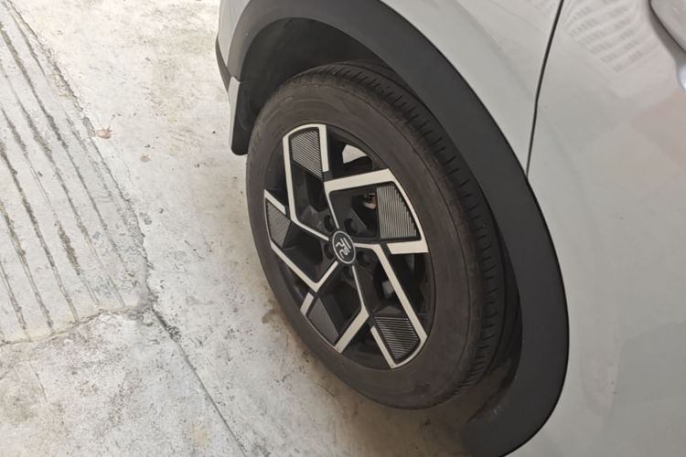 BYD Yuan Plus 2022 car image #10
