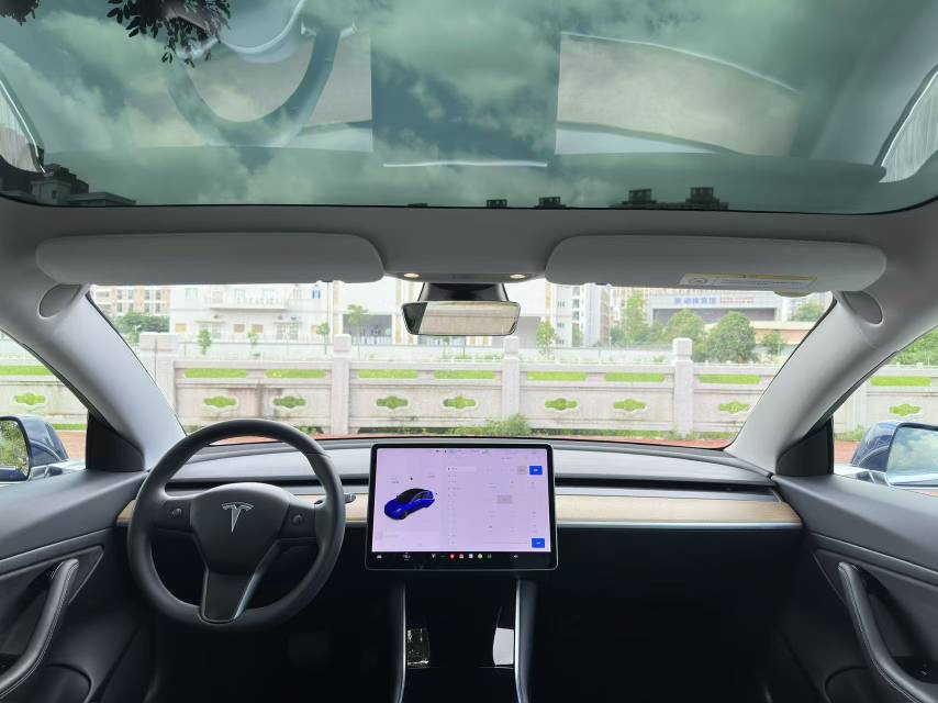 Tesla Model 3 2020 #7 Tesla Model 3 2020 car image #7