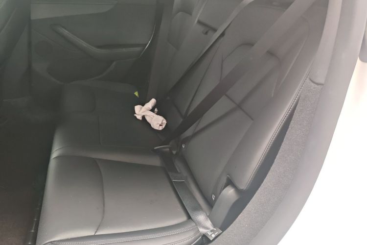 Tesla Model Y 2026 #14 Tesla Model Y 2026 car image #14