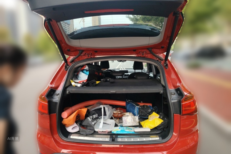BMW X1 2016 car image #21