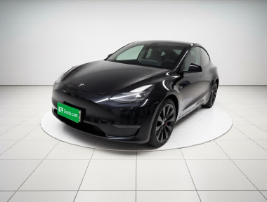 Tesla Model Y 2021 car image 