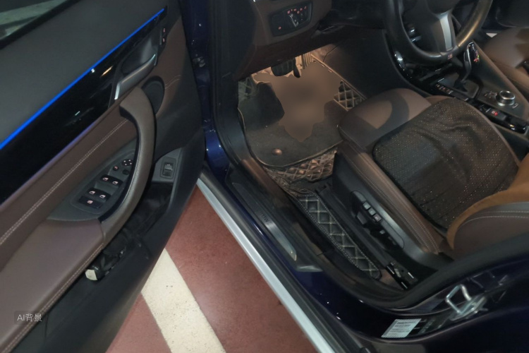 BMW X1 2019 car image #18