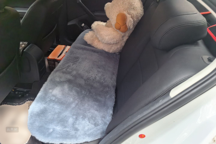 2020 #19 2020 car image #19