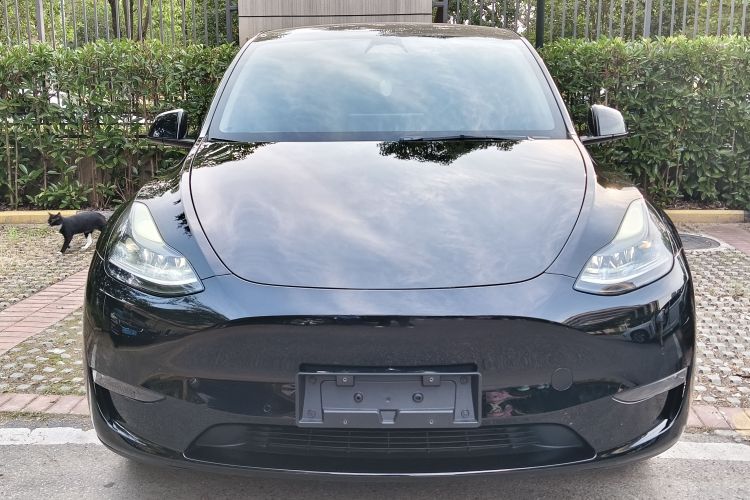 Tesla Model Y 2023 #3 Tesla Model Y 2023 immagine di auto #3