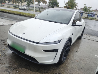 Tesla Model Y 2025 Tesla Model Y 2025 car image