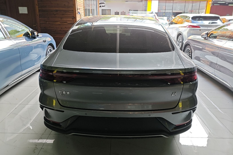 BYD Han 2022 immagine di auto #4