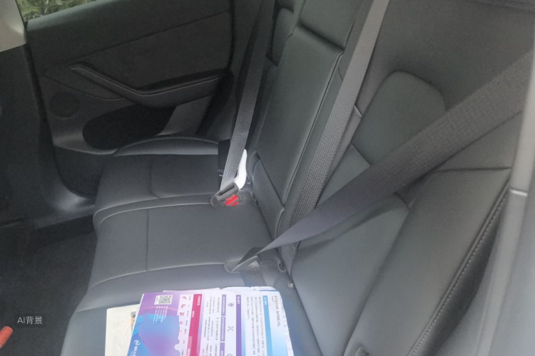 Tesla Model Y 2024 car image #19