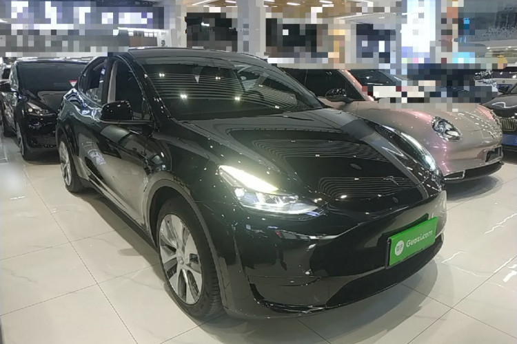 Tesla Model Y 2023 car image #6