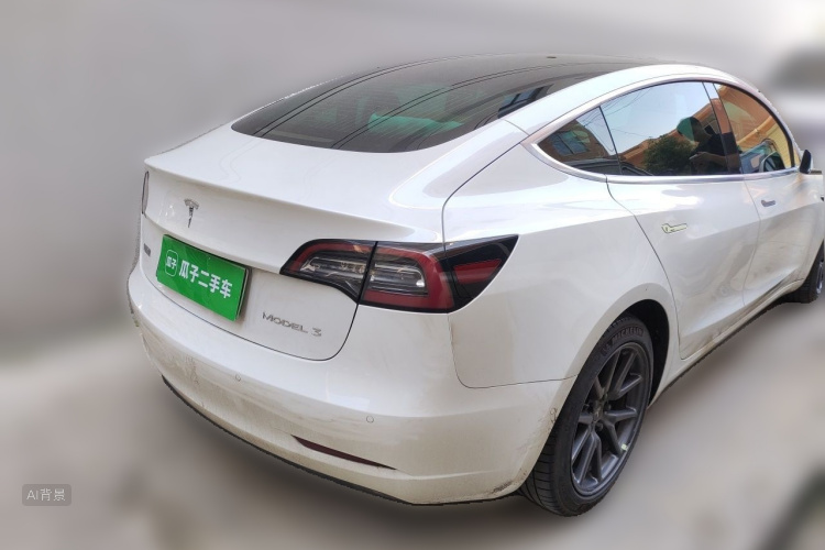 Tesla Model 3 2020 car image #7