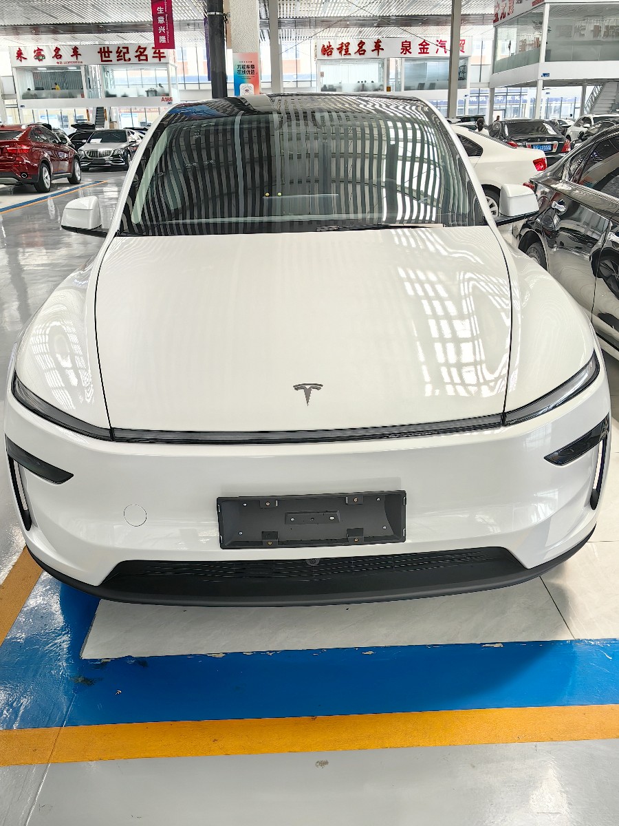 Tesla Model Y 2025 car image #2