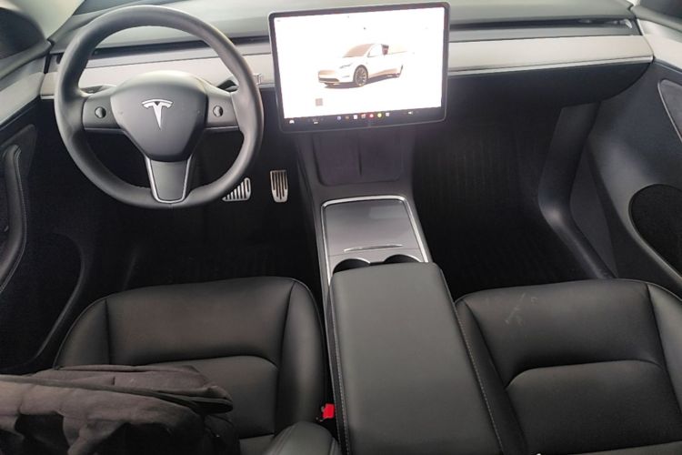 Tesla Model Y 2024 car image #10