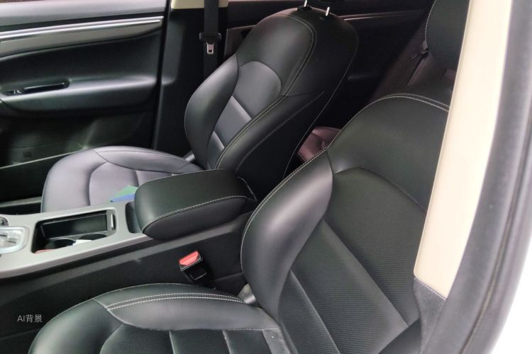 GEELY Emgrand GS 2019 #17 GEELY Emgrand GS 2019 car image #17