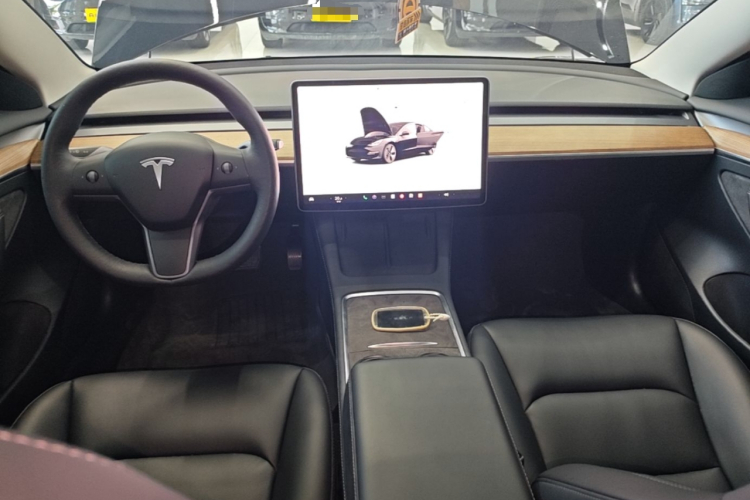 Tesla Model 3 2022 car image #10