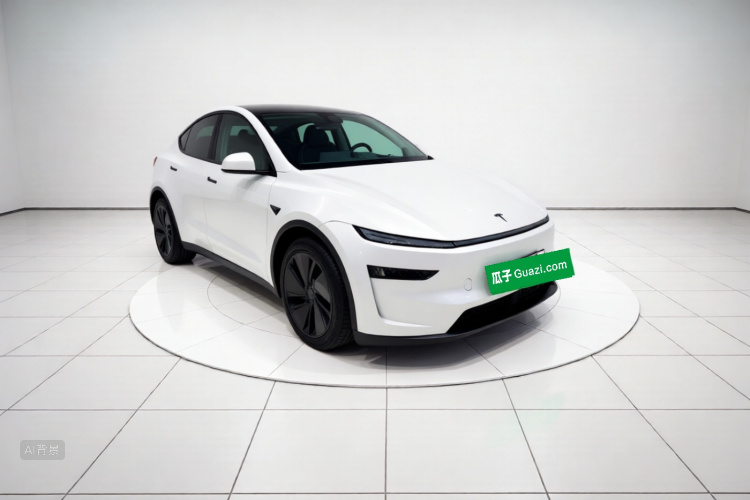 Tesla Model Y 2025 car image #4