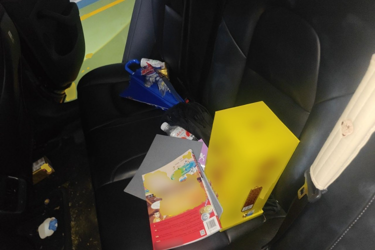 Tesla Model 3 2022 car image #10