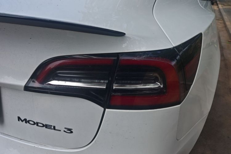 Tesla Model 3 2020 car image #8