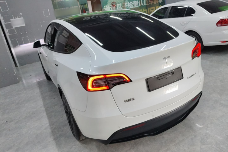 Tesla Model Y 2023 #7 Tesla Model Y 2023 car image #7