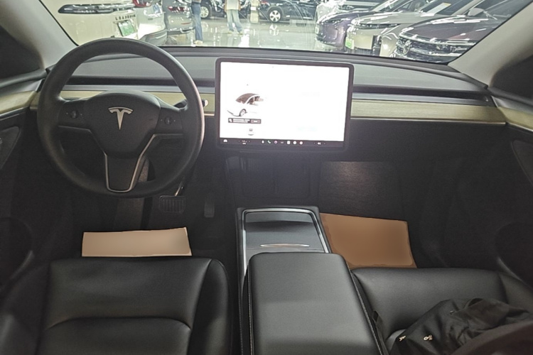 Tesla Model Y 2023 car image #10