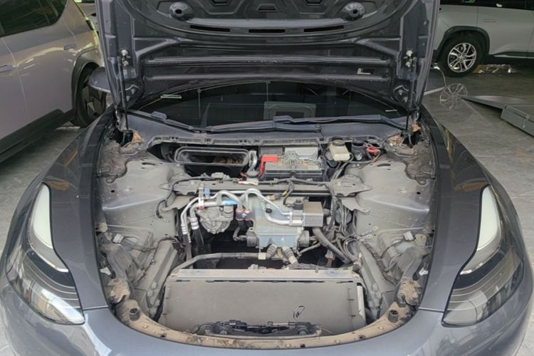 Tesla Model 3 2020 #20 Tesla Model 3 2020 car image #20