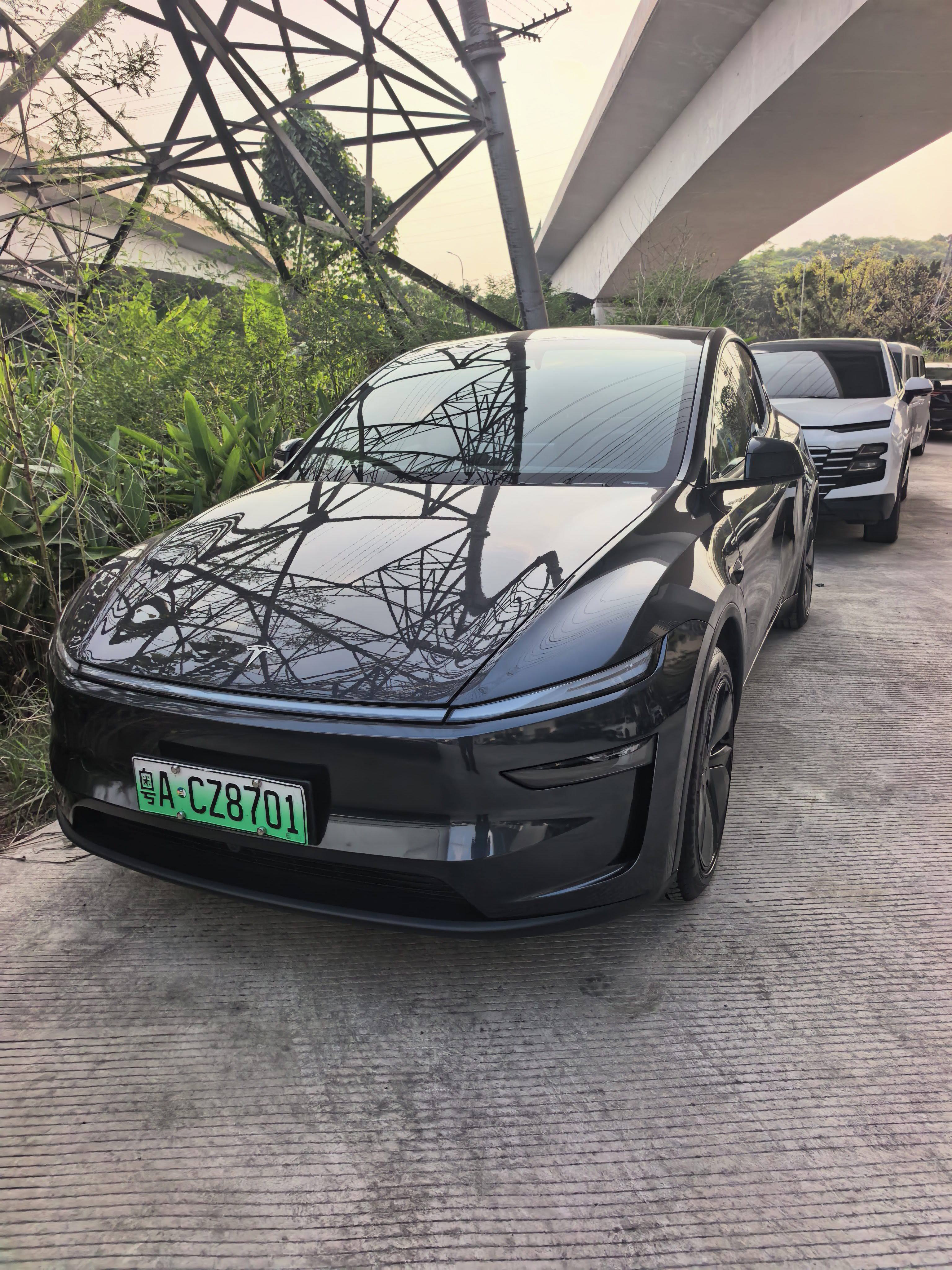 Tesla Model Y 2025 car image 