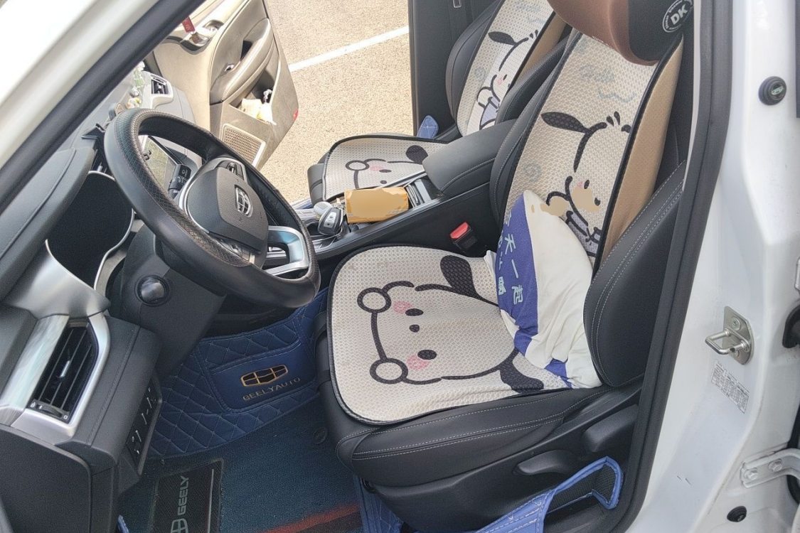 GEELY Emgrand 2019 car image #18