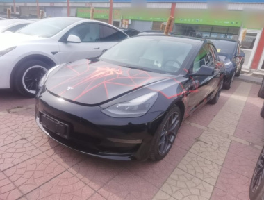 Tesla Model 3 2021 Tesla Model 3 2021 car image