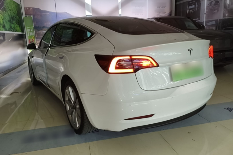 Tesla Model 3 2020 car image #5