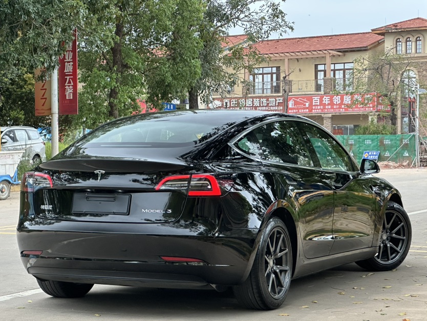 Tesla Model 3 2020 #9 Tesla Model 3 2020 car image #9