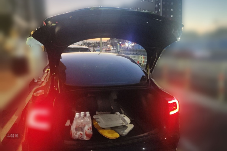 Tesla Model 3 2022 #21 Tesla Model 3 2022 car image #21