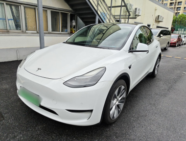 Tesla Model Y 2021 car image 