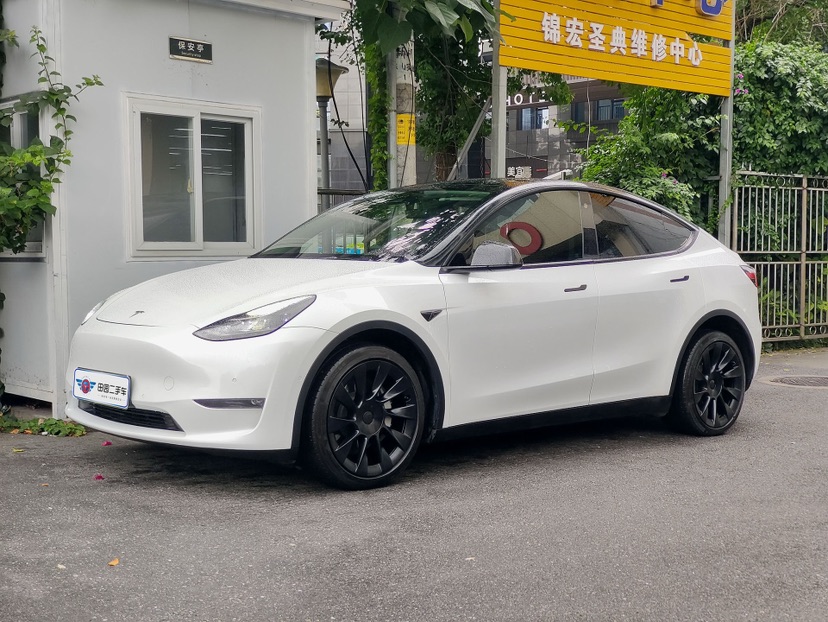 Tesla Model Y 2021 Tesla Model Y 2021 car image