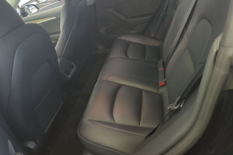 Tesla Model 3 2022 car image #17