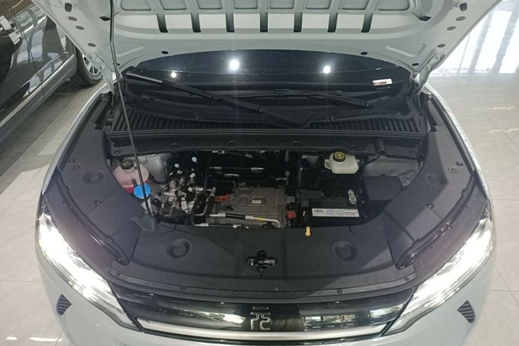 BYD YuanUP 2024 car image #20