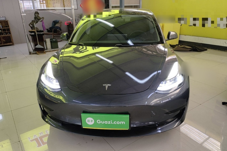 Tesla Model 3 2021 #3 Tesla Model 3 2021 car image #3