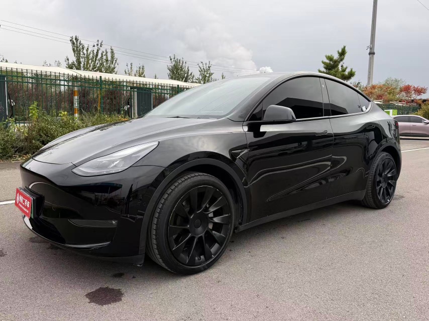 Tesla Model Y 2022 Tesla Model Y 2022 immagine di auto