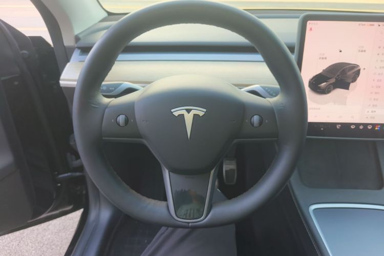 Tesla Model Y 2021 car image #11