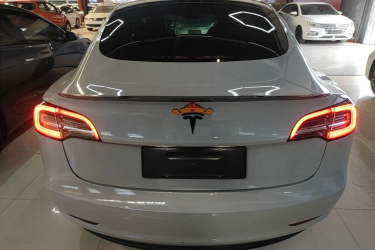 Tesla Model 3 2020 #6 Tesla Model 3 2020 car image #6