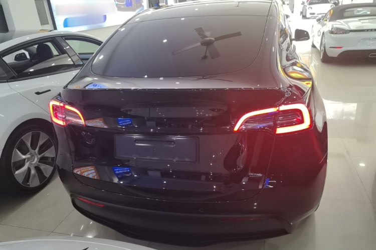Tesla Model Y 2023 #6 Tesla Model Y 2023 car image #6