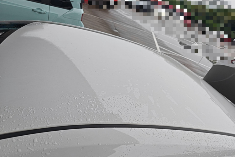 Toyota Corolla 2019 #25 Toyota Corolla 2019 immagine di auto #25