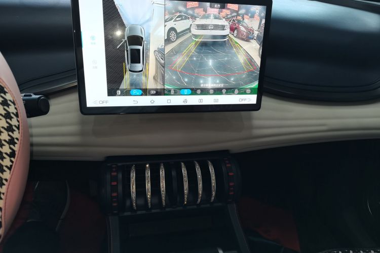 BYD Yuan Plus 2022 car image #13