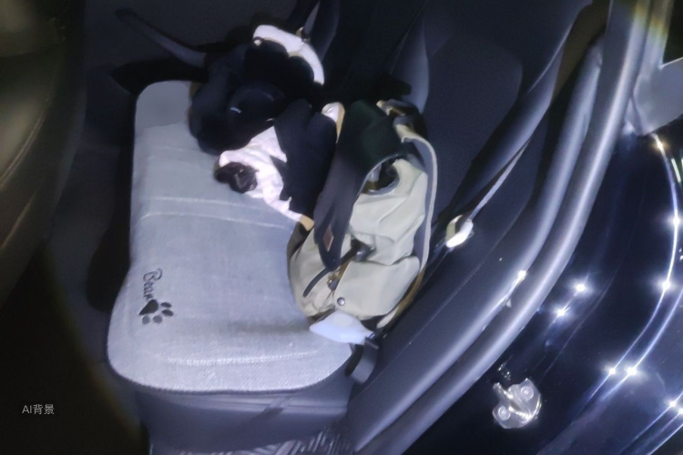 Tesla Model 3 2023 car image #19