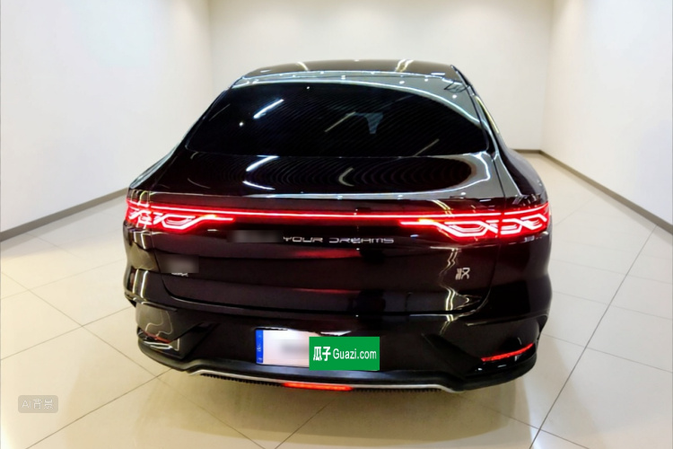 BYD Han 2024 car image #6