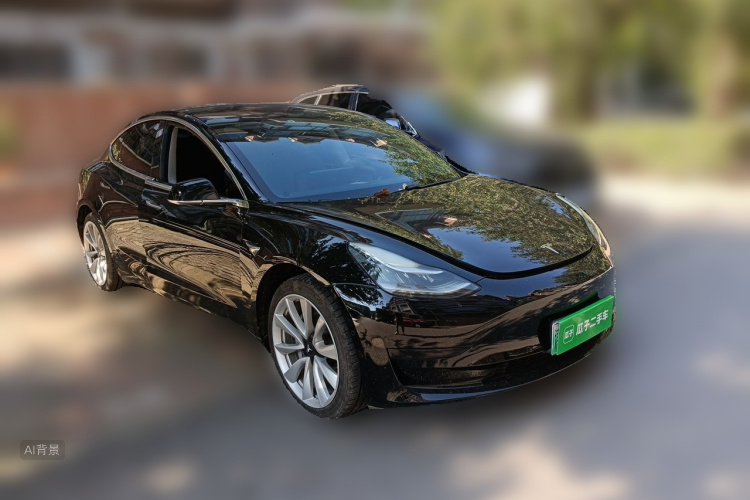 Tesla Model 3 2020 car image #4