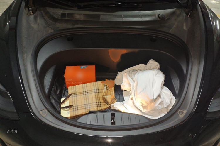 Tesla Model 3 2023 immagine di auto #22